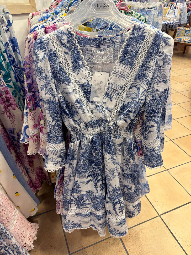 Poison dress in adored blue linen print